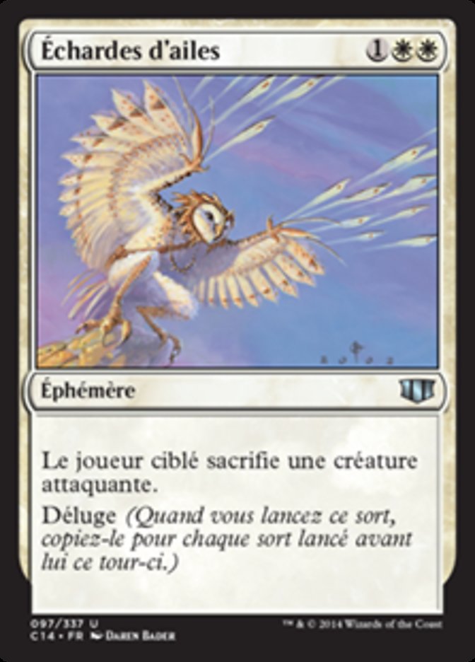 image Échardes d'ailes