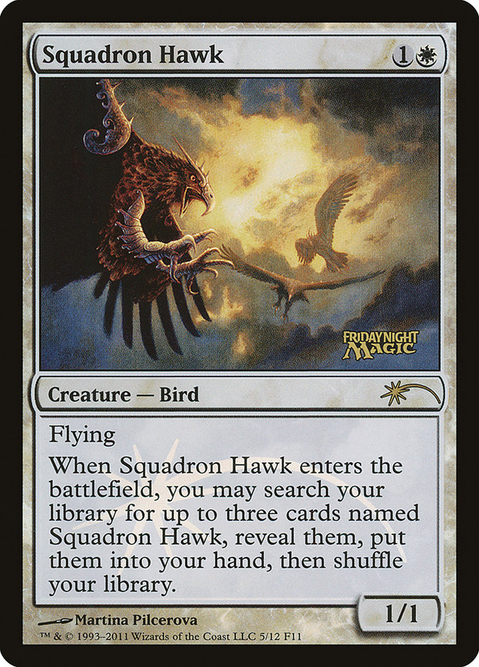 image Squadron Hawk