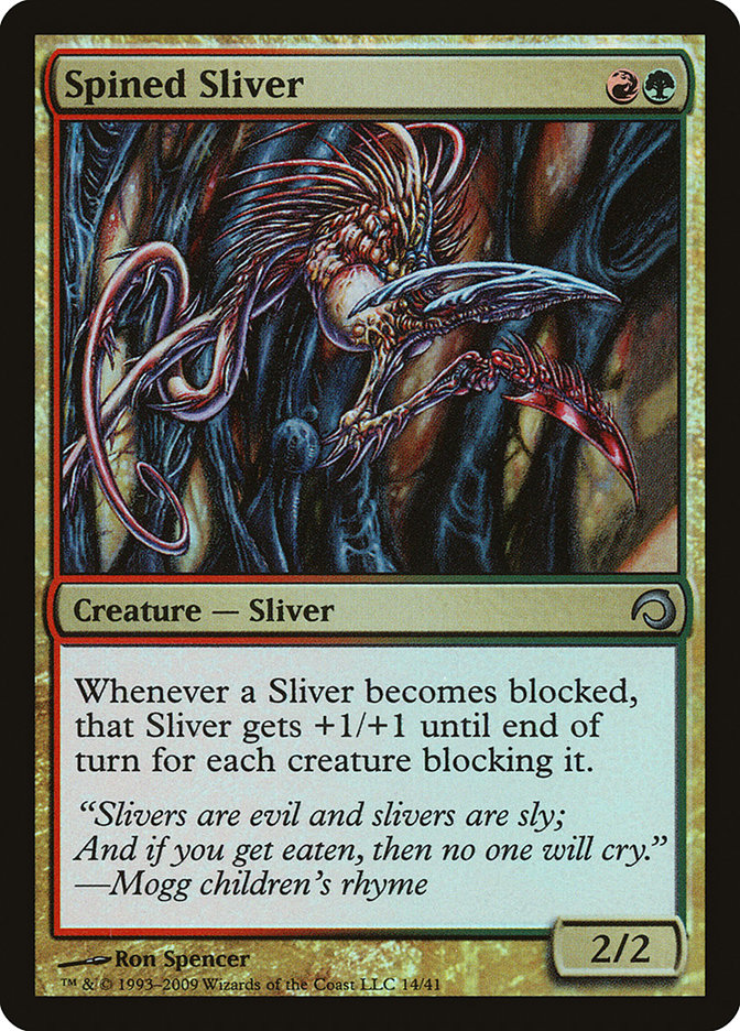 image Spined Sliver