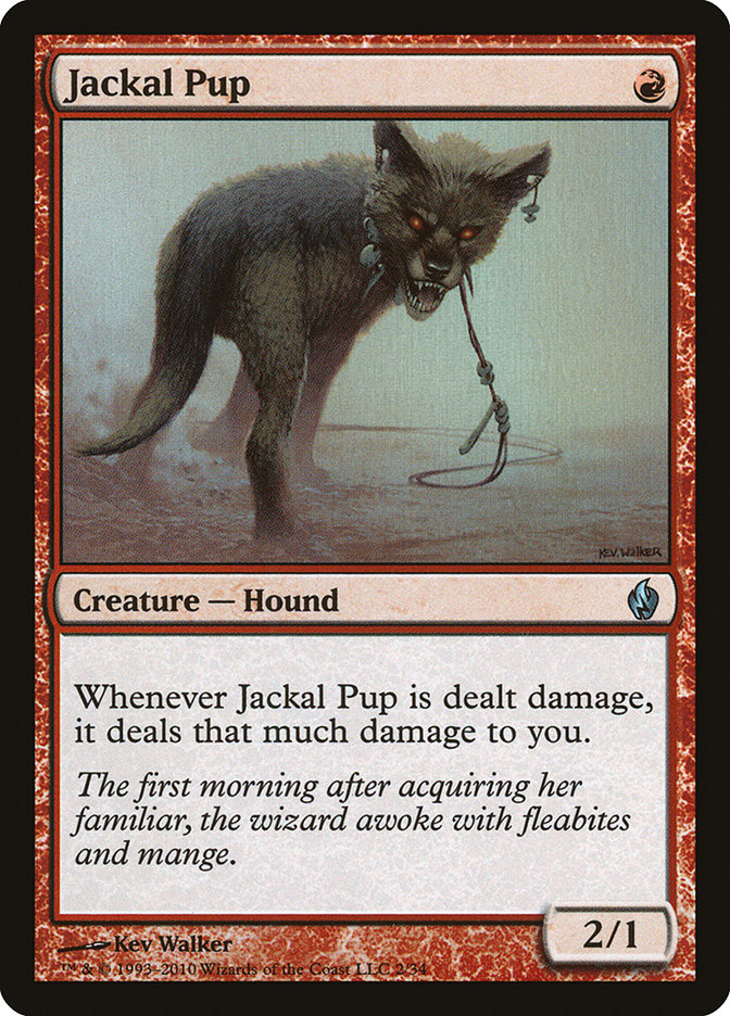 image Jackal Pup