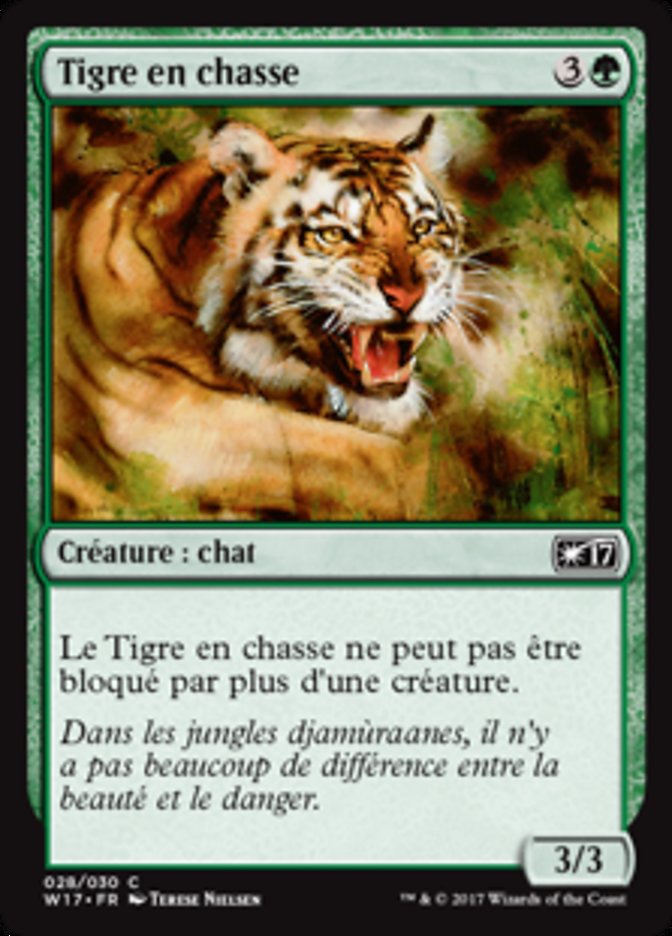 image Tigre en chasse