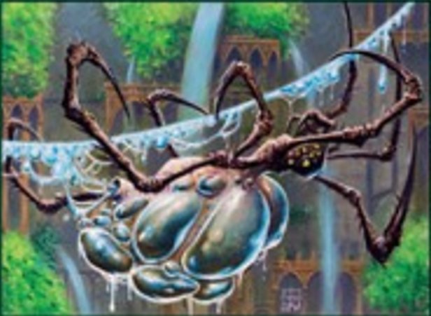 Wasserstrang-Spinne