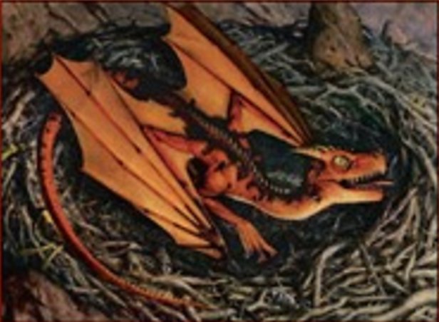Drachenjunges