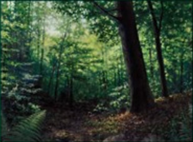 Wald