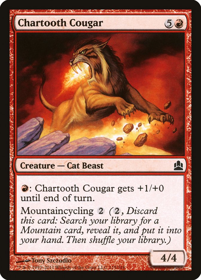 image Chartooth Cougar