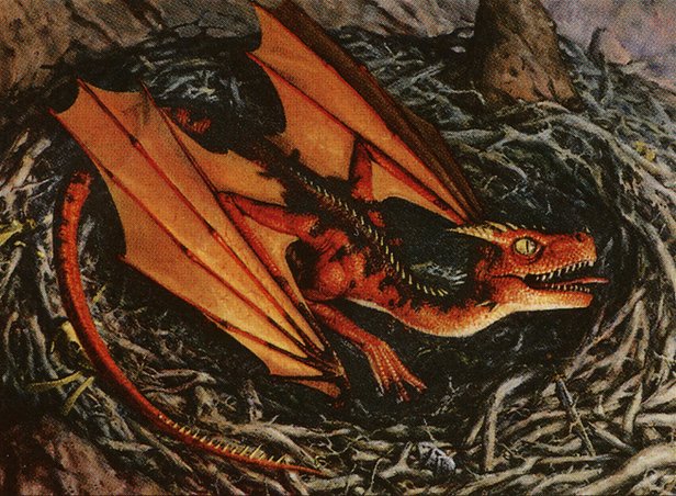Dragon Whelp