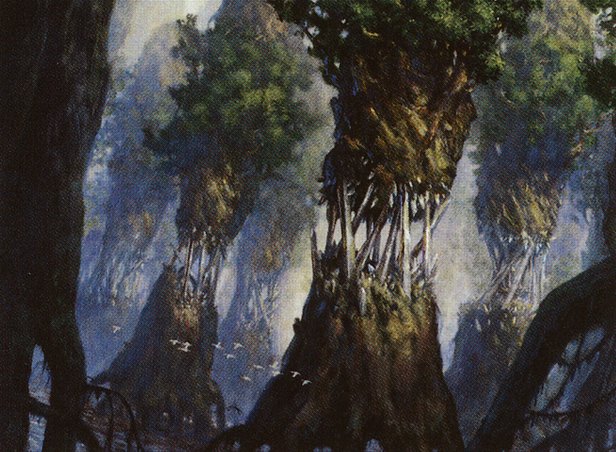 Evolving Wilds