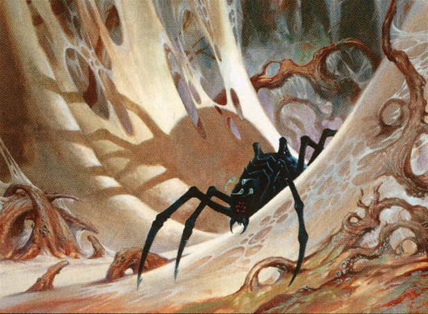Penumbra Spider