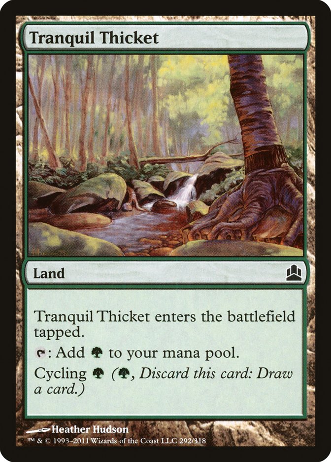 image Tranquil Thicket