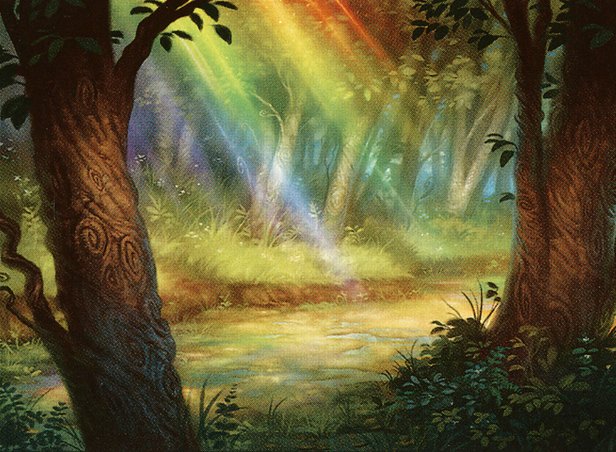 Vivid Grove