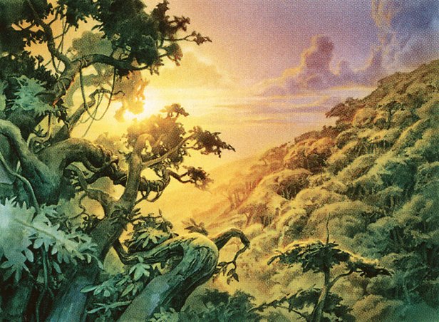 Forest