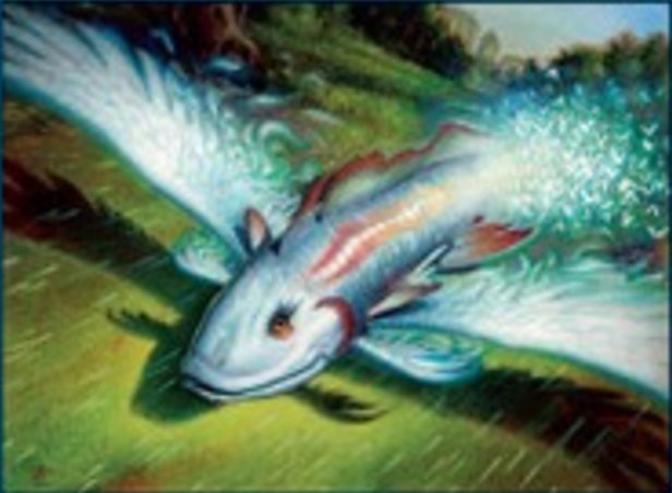 Errante meditabundo