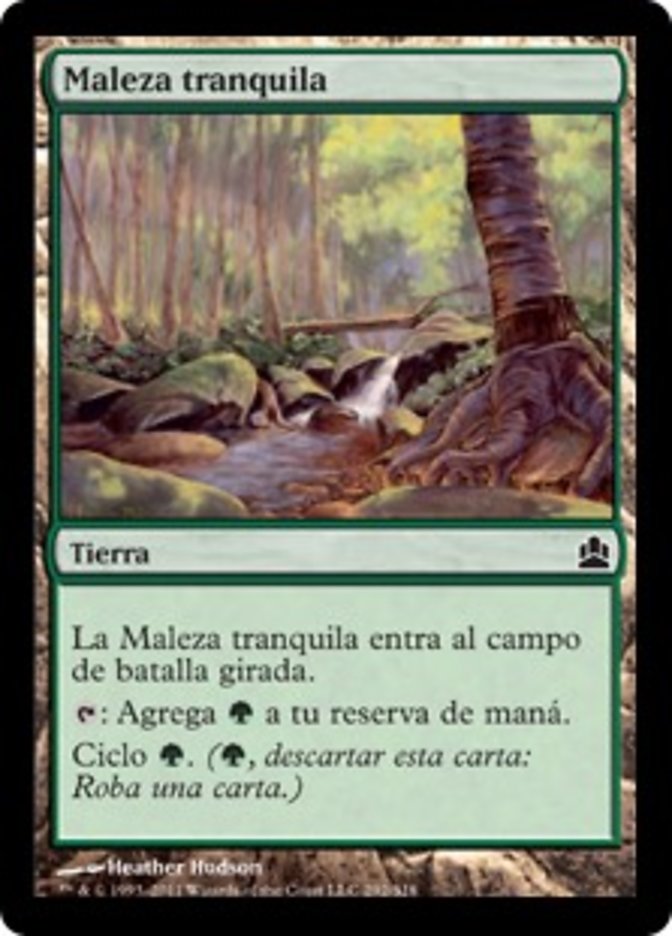 Maleza tranquila