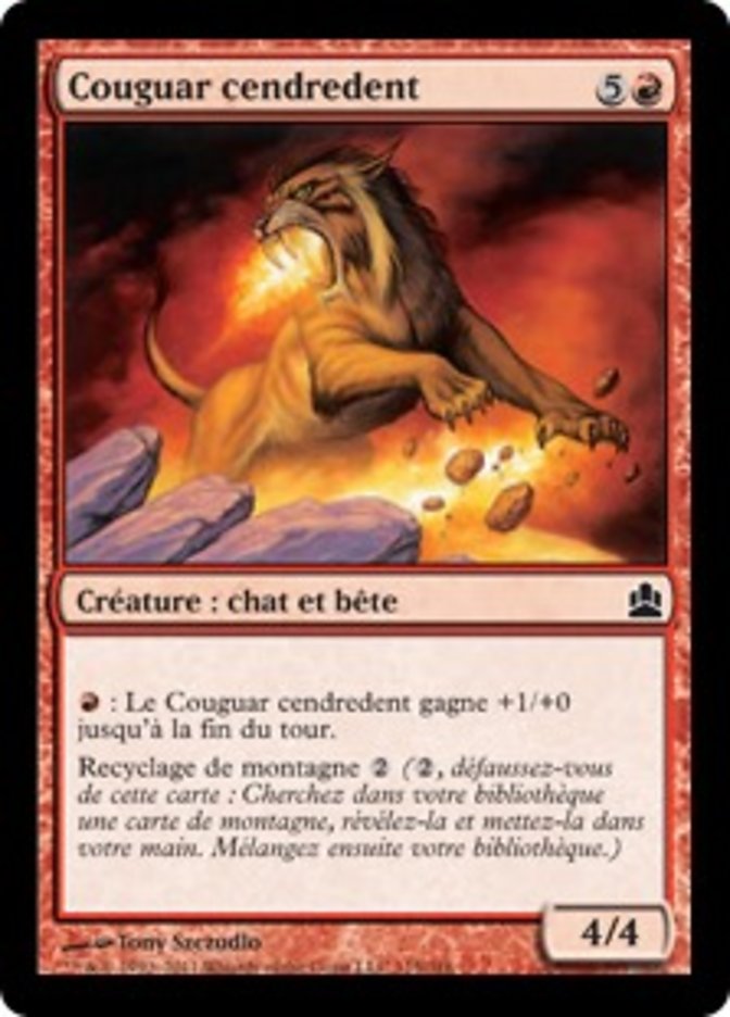 image Couguar cendredent