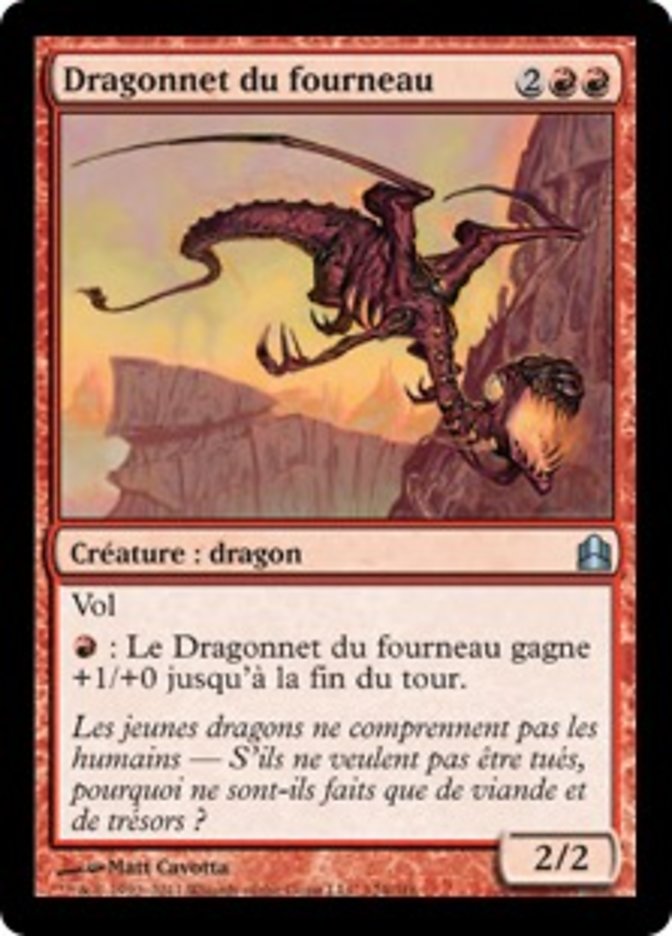 image Dragonnet du fourneau