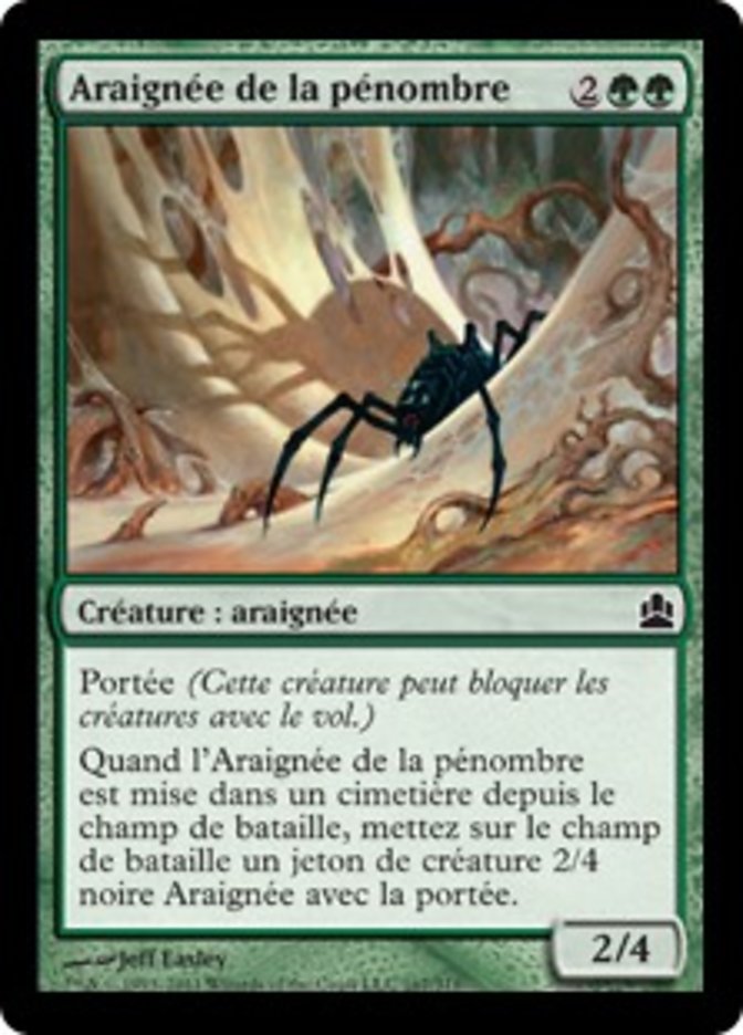image Araignée de la pénombre