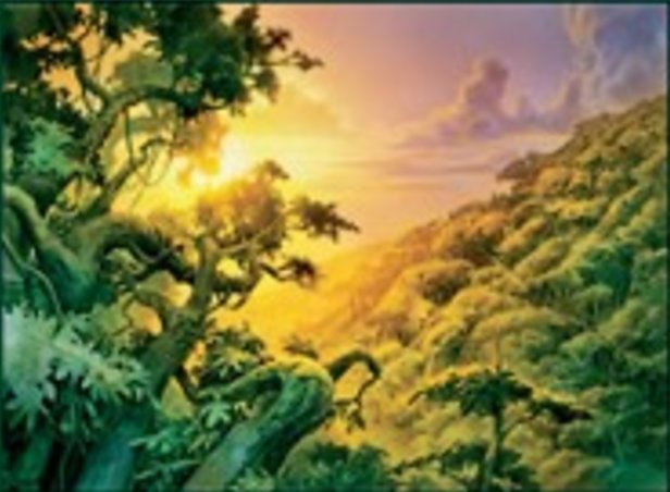 Forêt