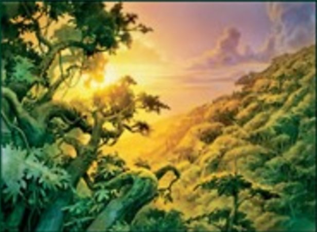 Foresta