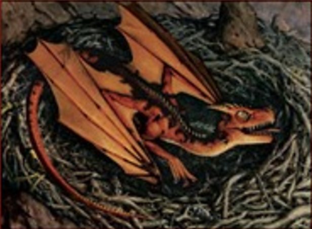 チビ・ドラゴン
