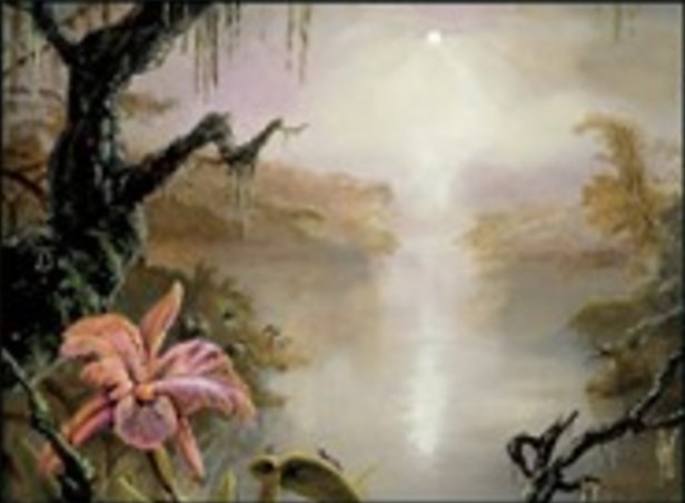 沼