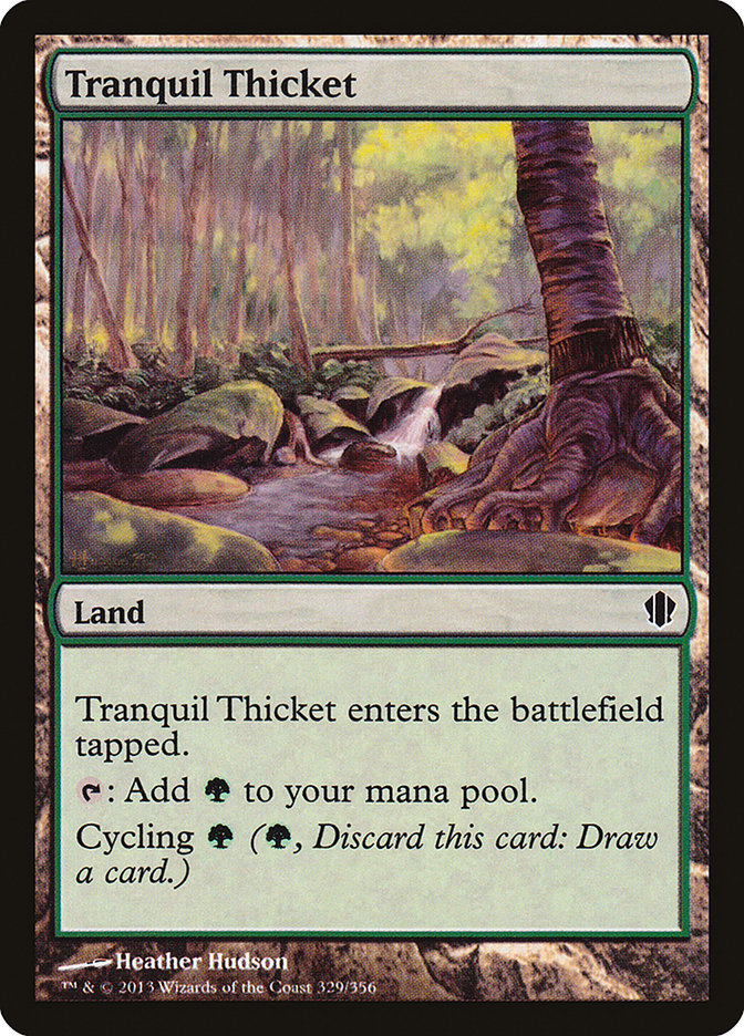 image Tranquil Thicket
