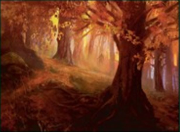 Bosque