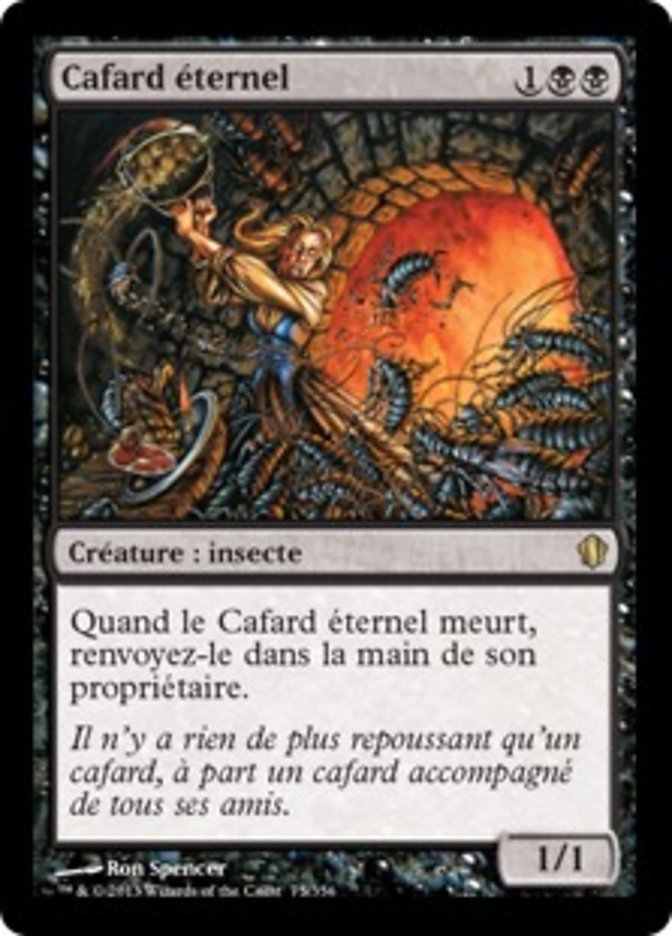 image Cafard éternel