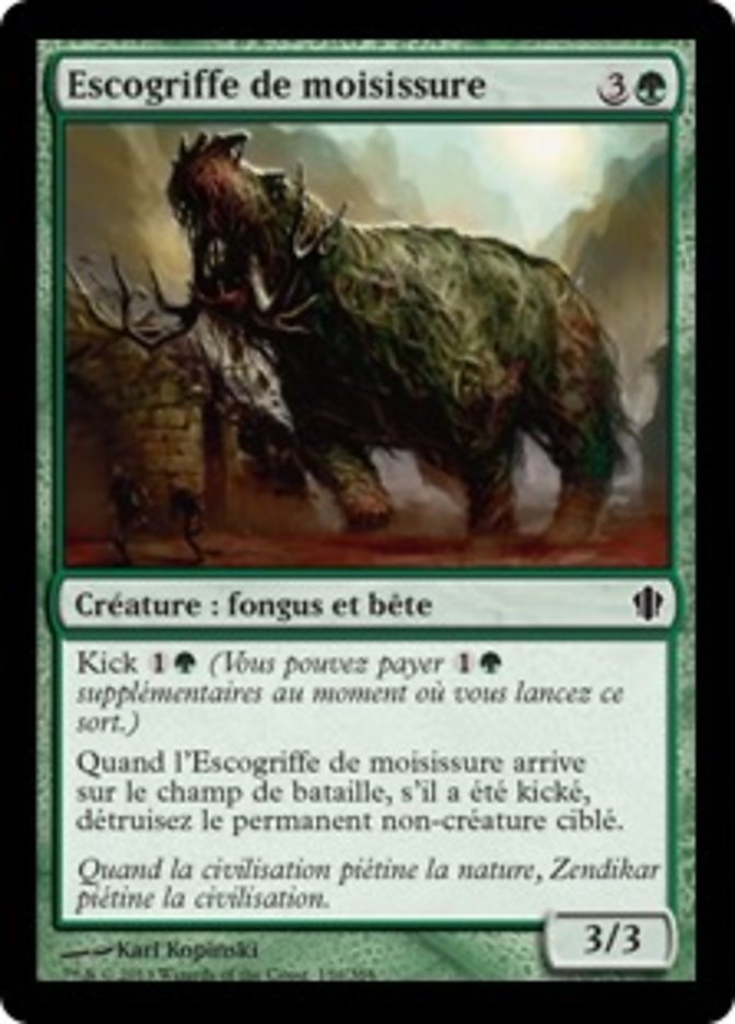 image Escogriffe de moisissure