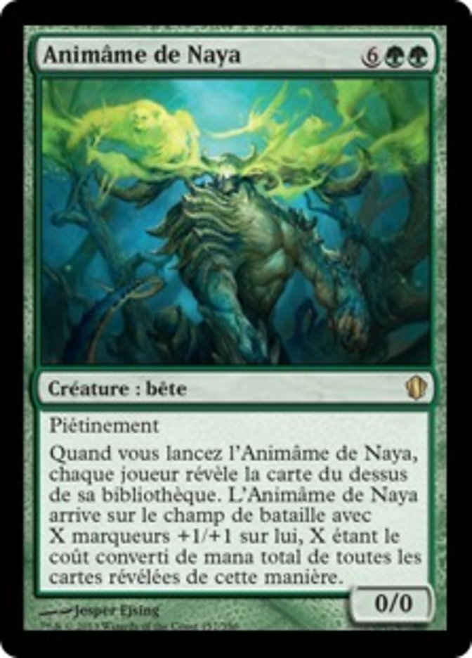 image Animâme de Naya