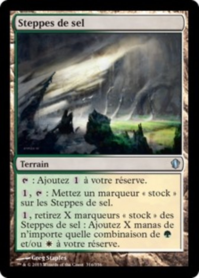 image Steppes de sel