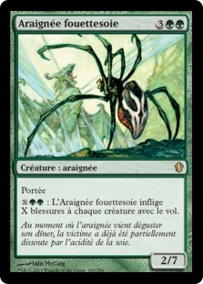 image Araignée fouettesoie