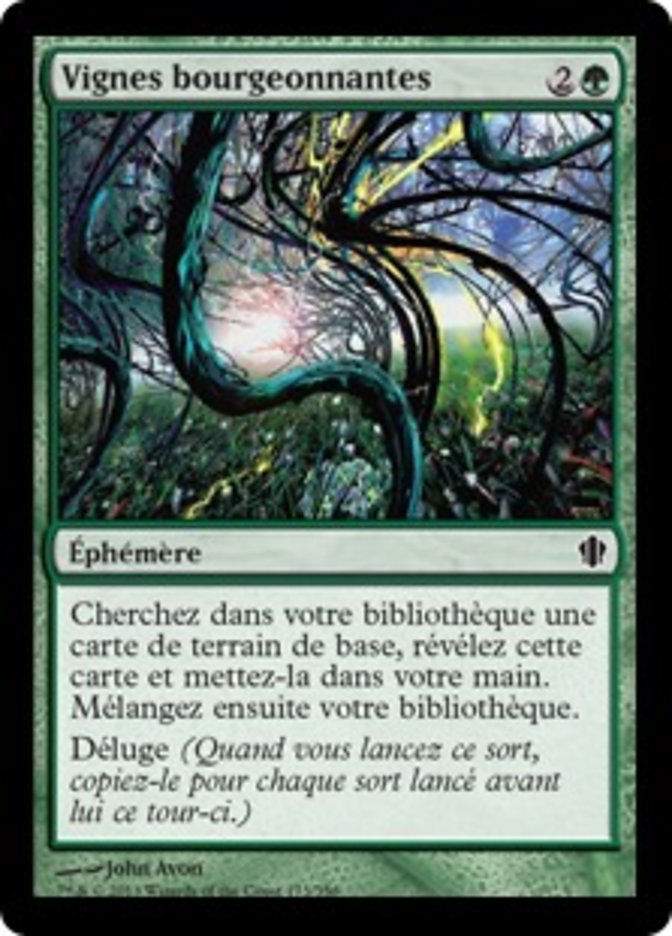 image Vignes bourgeonnantes