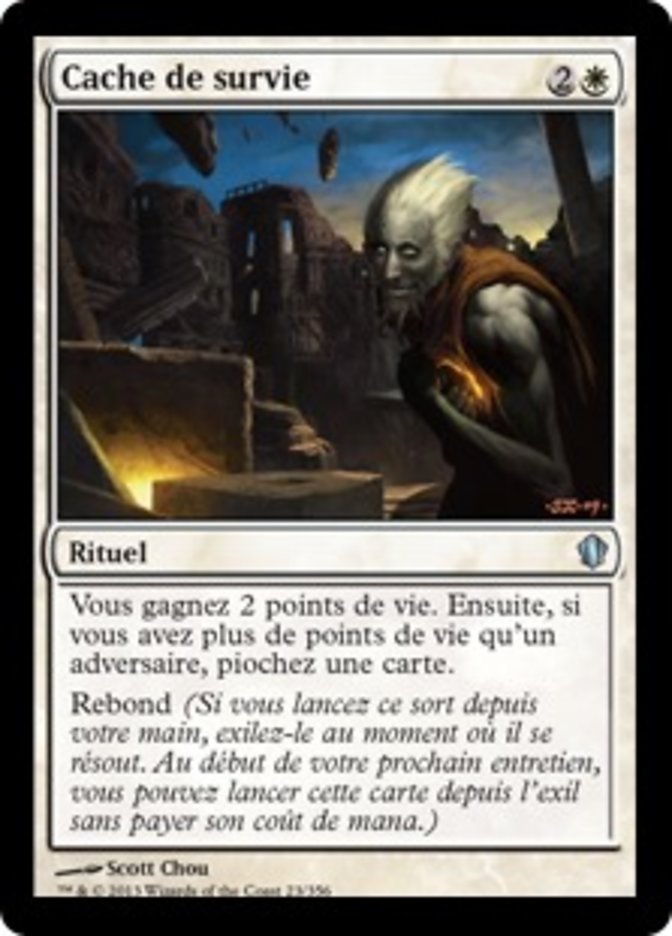 image Cache de survie