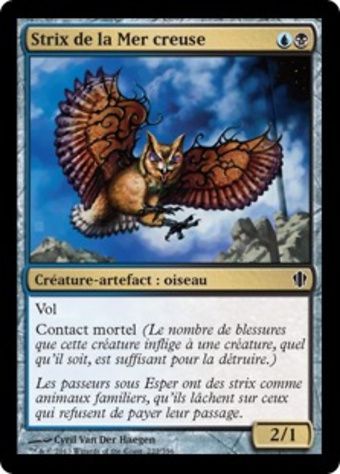 image Strix de la Mer creuse