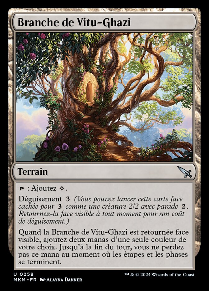 image Branche de Vitu-Ghazi