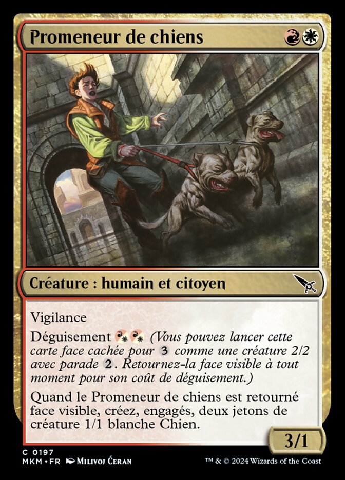 image Promeneur de chiens