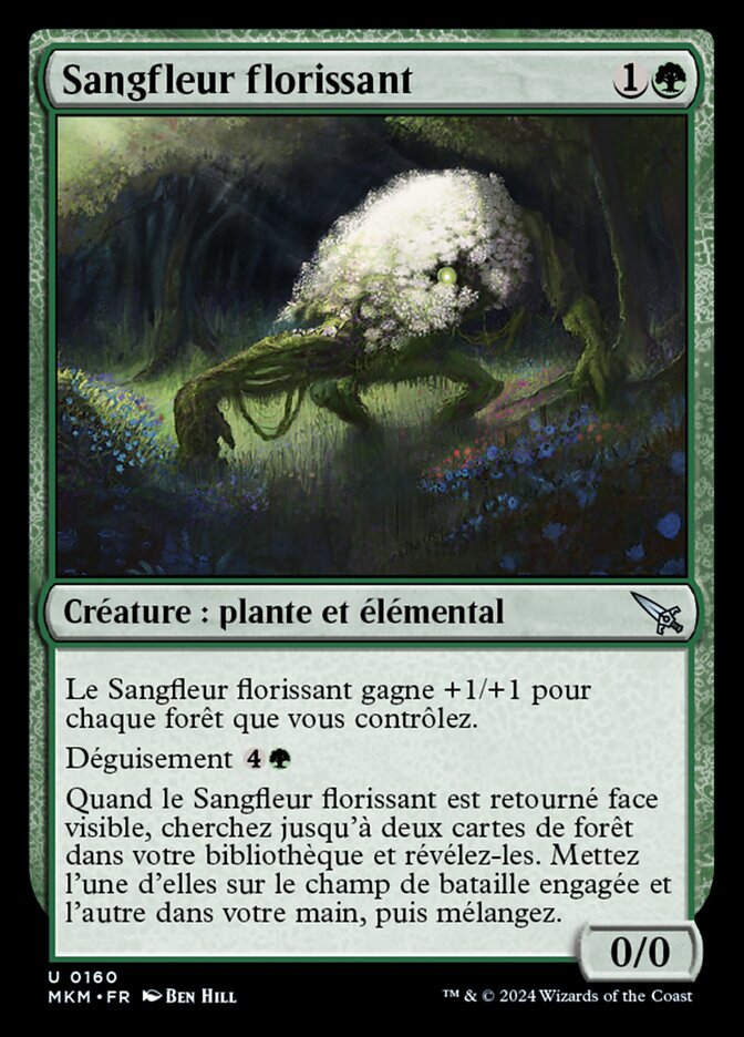 image Sangfleur florissant