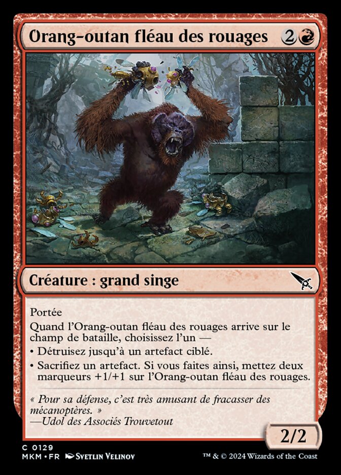 image Orang-outan fléau des rouages