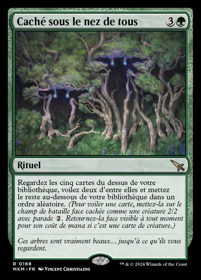 image Caché sous le nez de tous