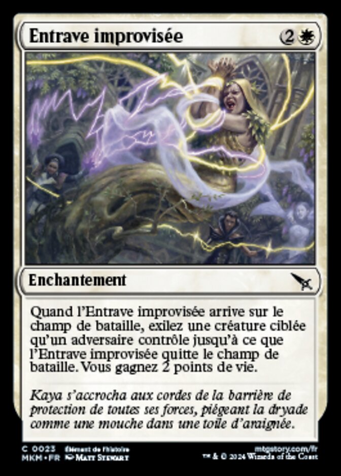 image Entrave improvisée