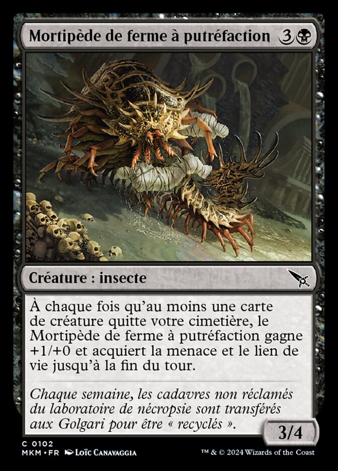 image Mortipède de ferme à putréfaction