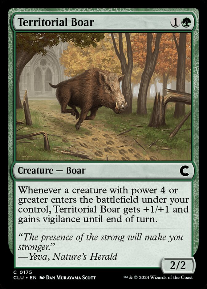 image Territorial Boar