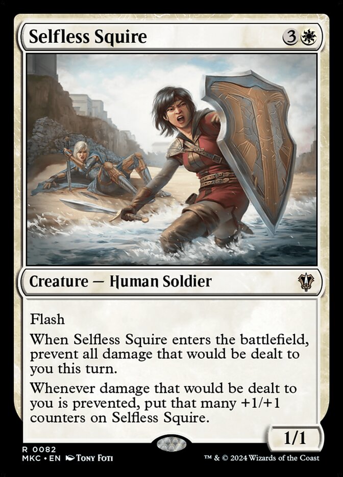 image Selfless Squire
