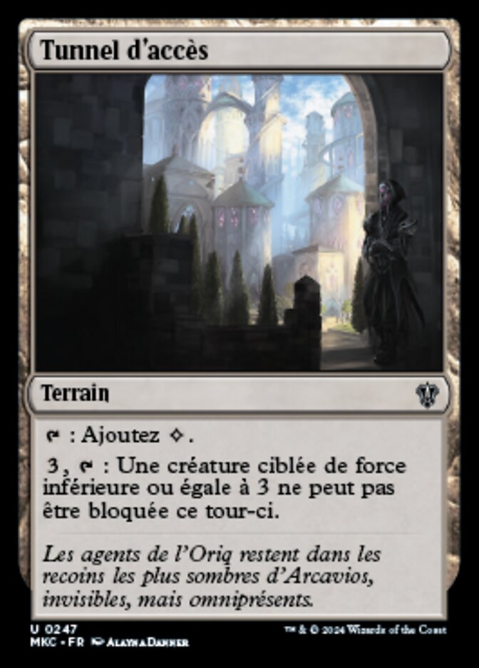 image Tunnel d'accès