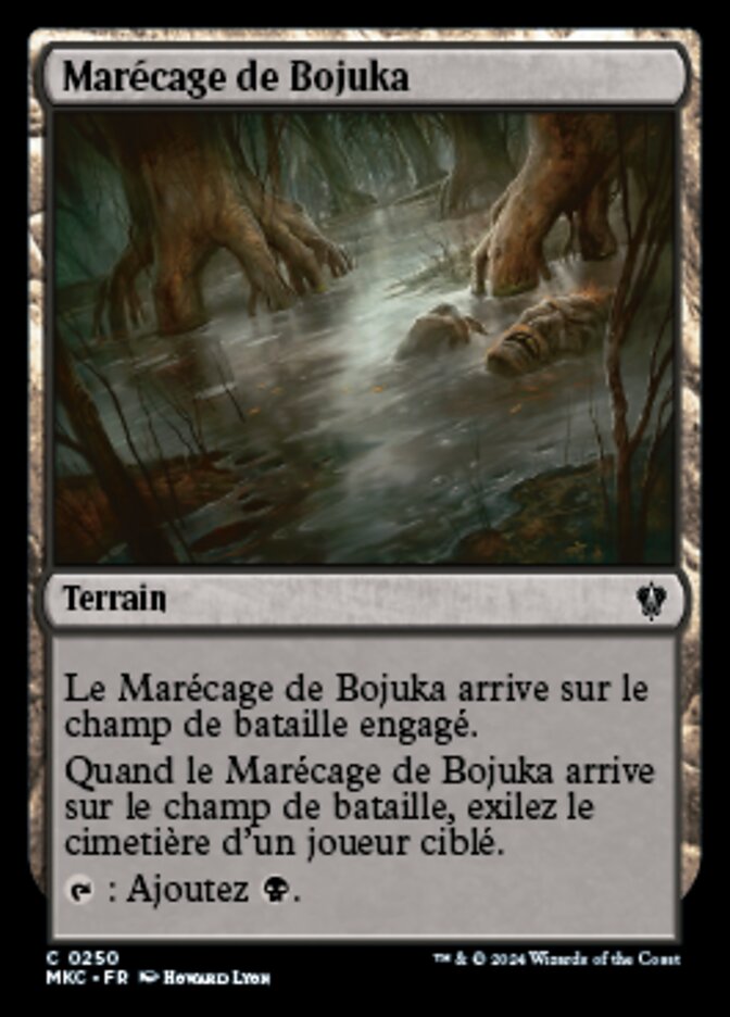 image Marécage de Bojuka