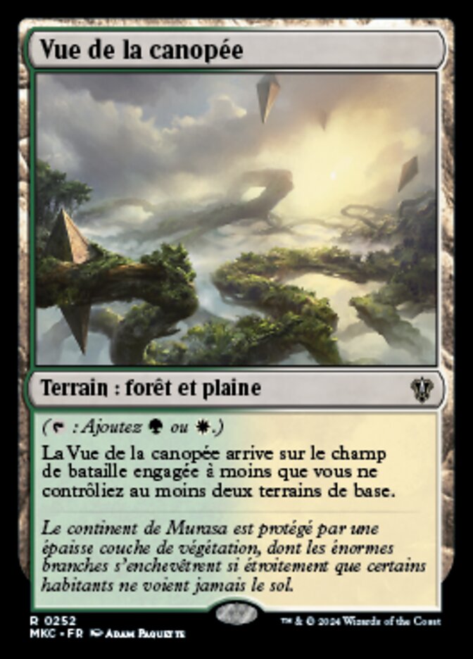 image Vue de la canopée