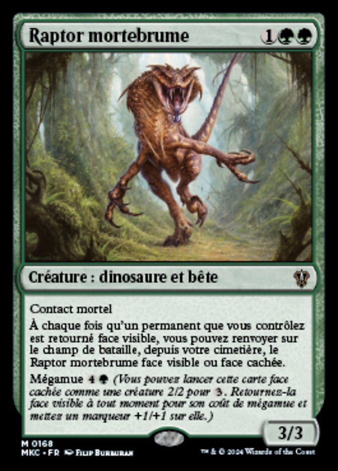 image Raptor mortebrume