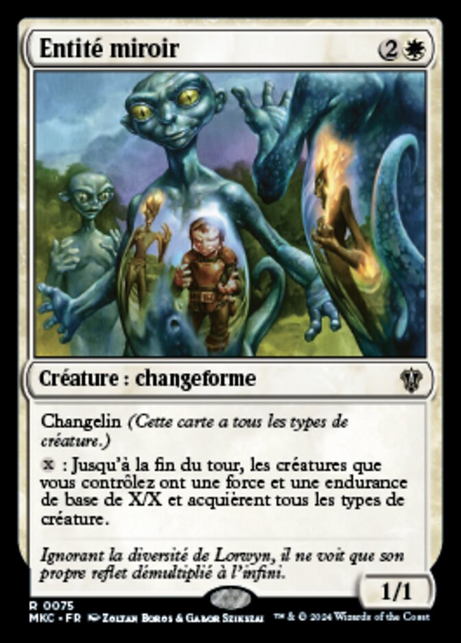 image Entité miroir