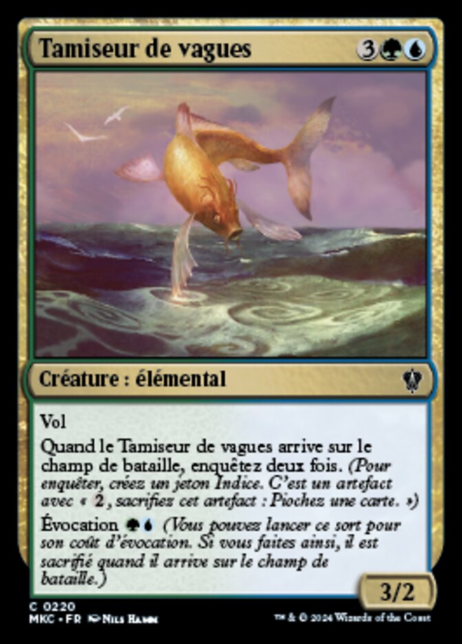 image Tamiseur de vagues