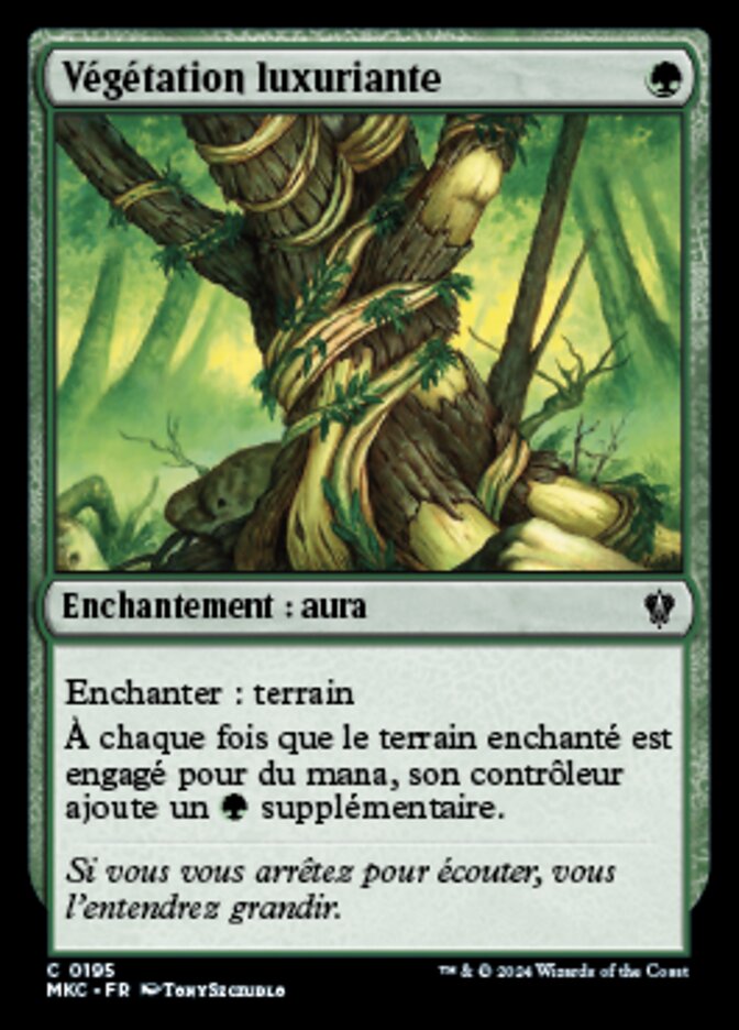 image Végétation luxuriante